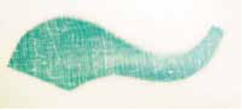 1a23171e12_-_164_17383c30_2005-2006-4