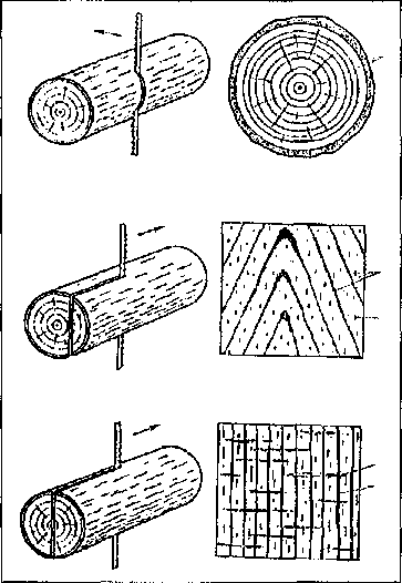 prieto_dzh_kine_yu_drevesina_obrabotka_i_dekorativnaya_otdel-2